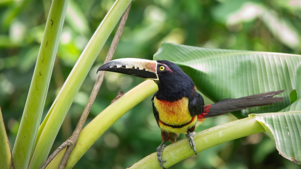 Itinerary: A Week In San&nbsp;Ignacio