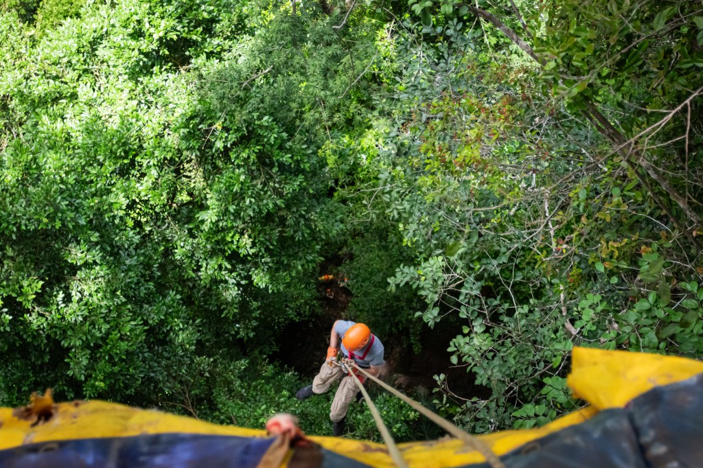 Black Hole Drop: Adrenaline&nbsp;Guaranteed