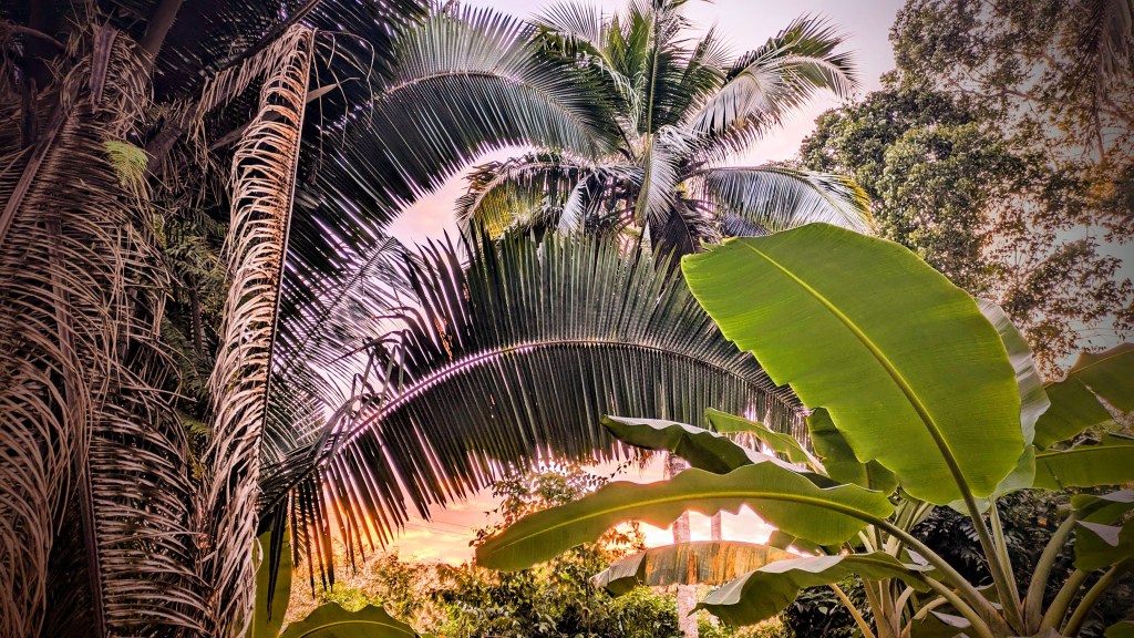 Itinerary: San Ignacio/ Hopkins in 7&nbsp;days